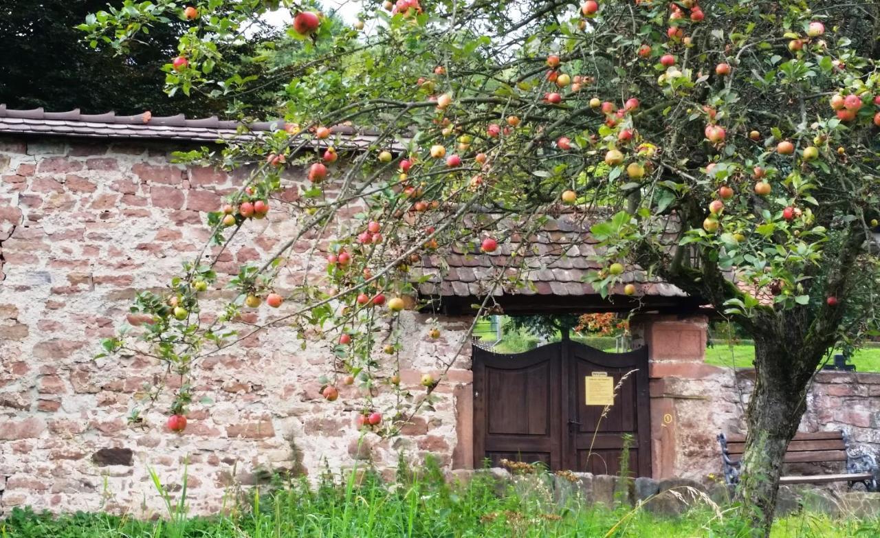 Appartamento UrlaubsRaum Heiligkreuzsteinach Esterno foto