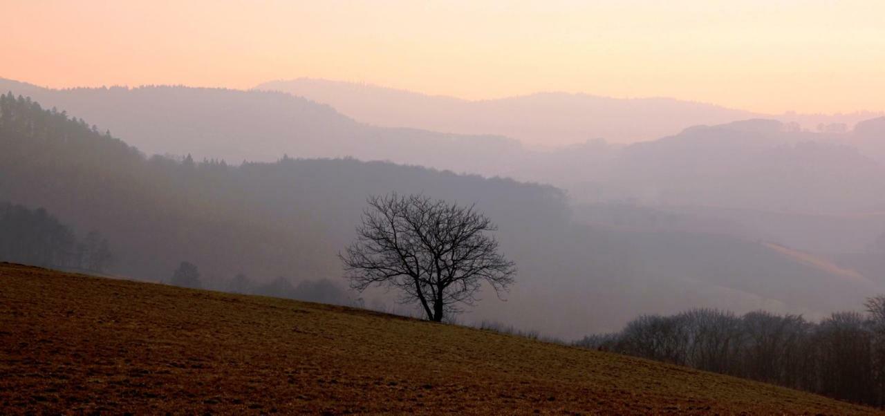 Appartamento UrlaubsRaum Heiligkreuzsteinach Esterno foto