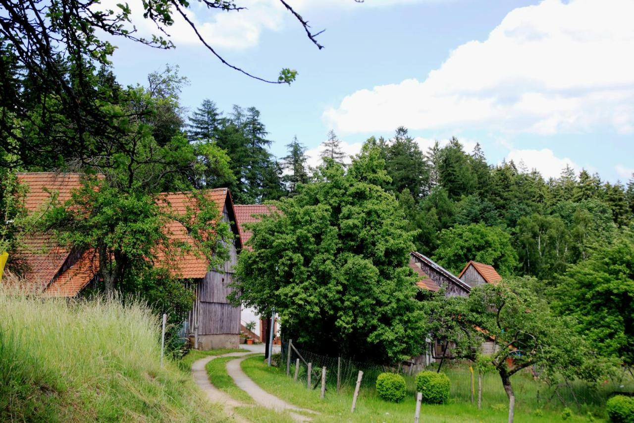Appartamento UrlaubsRaum Heiligkreuzsteinach Esterno foto