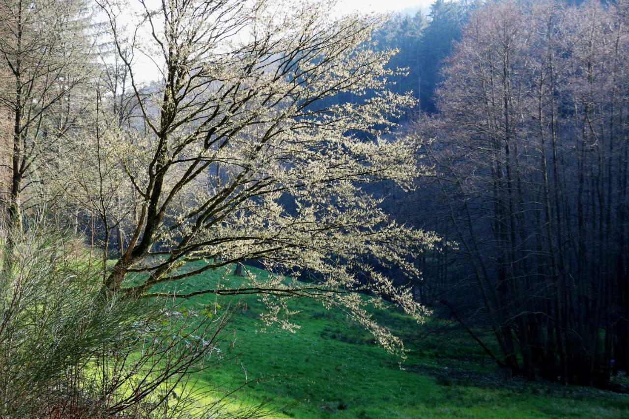 Appartamento UrlaubsRaum Heiligkreuzsteinach Esterno foto